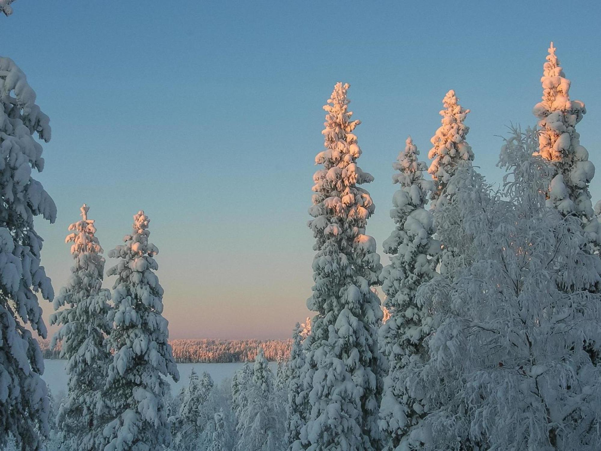 Holiday Home Mustikka By Interhome Kuusamo Exterior photo